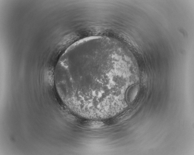 X0000116020719200912041750