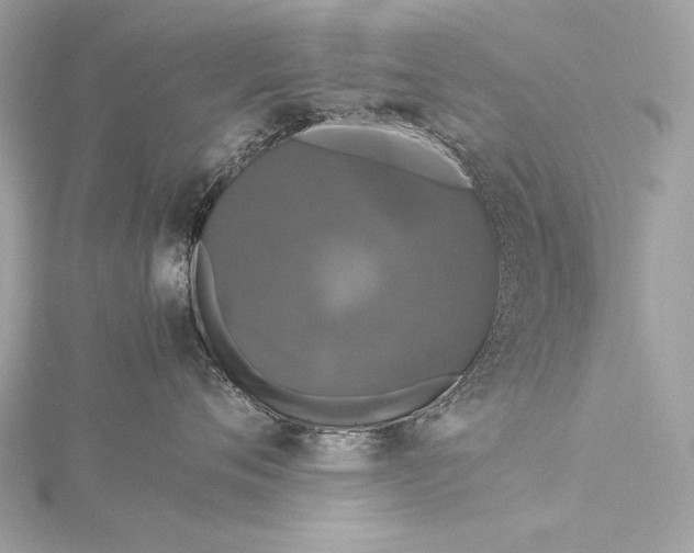 X0000116020720200912041750