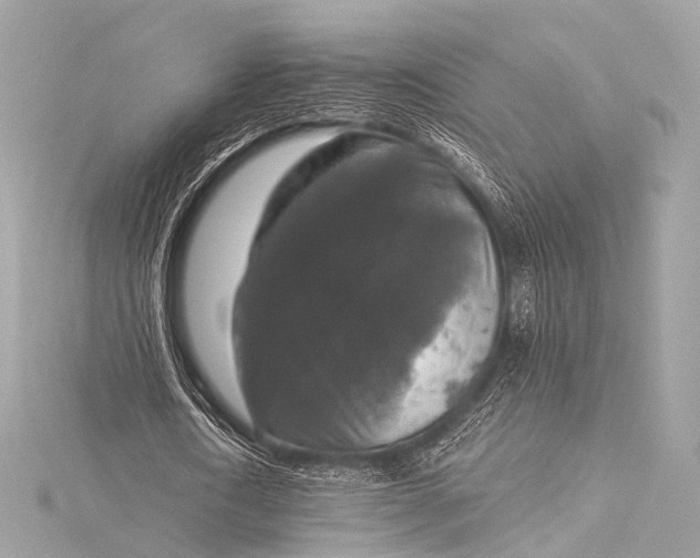 X0000116020722200912041749