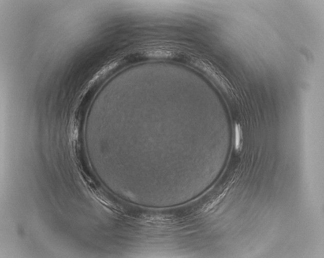 X0000116020723200912041749