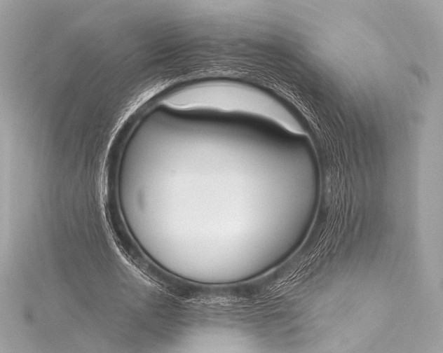 X0000116020726200912041749