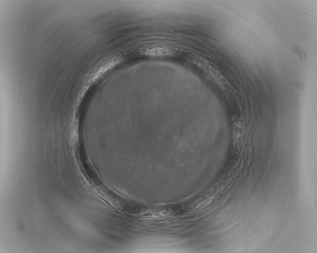 X0000116020727200912041750