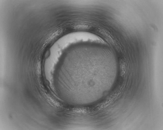 X0000116020729200912041750