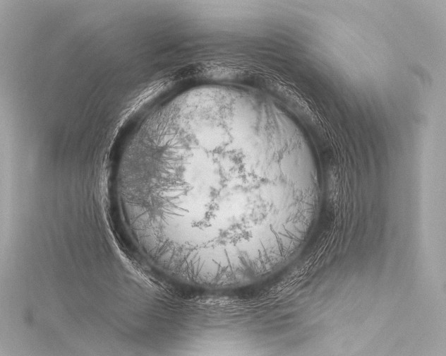 X0000116020730200912041750