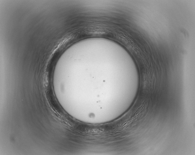 X0000116020731200912041750