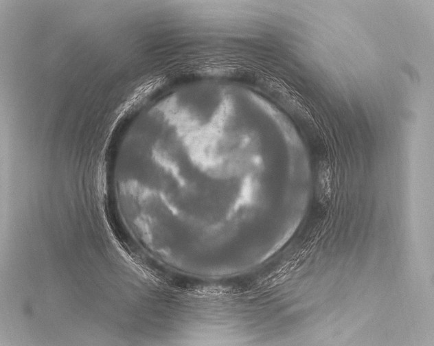 X0000116020734200912041750