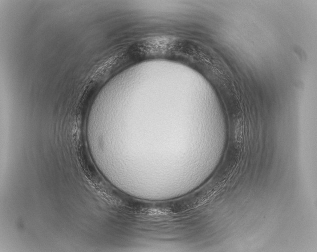 X0000116020737200912041750