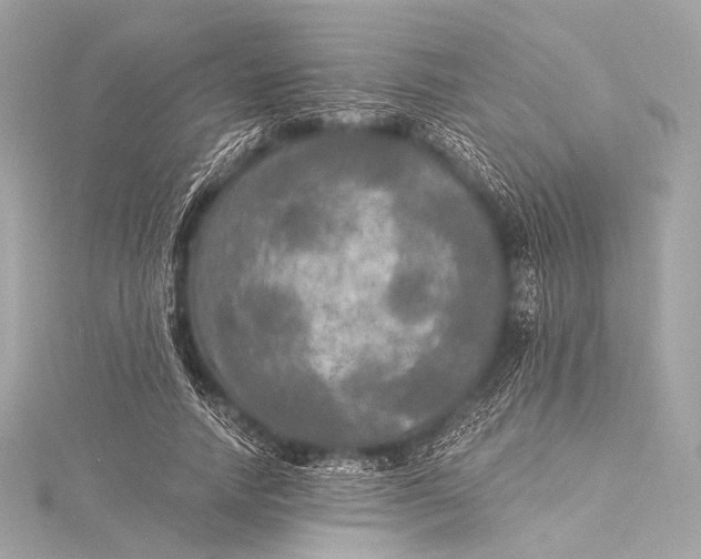 X0000116020738200912041750