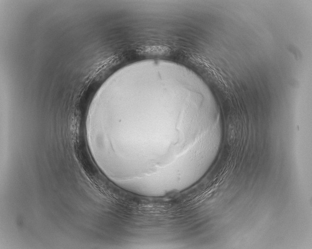 X0000116020739200912041750