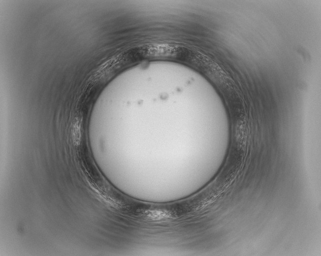 X0000116020741200912041750