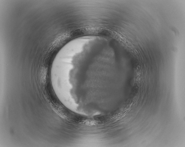 X0000116020742200912041750