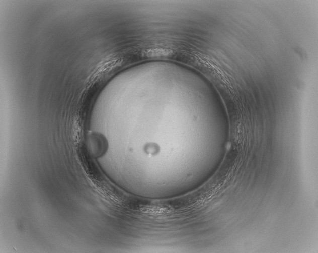 X0000116020743200912041750