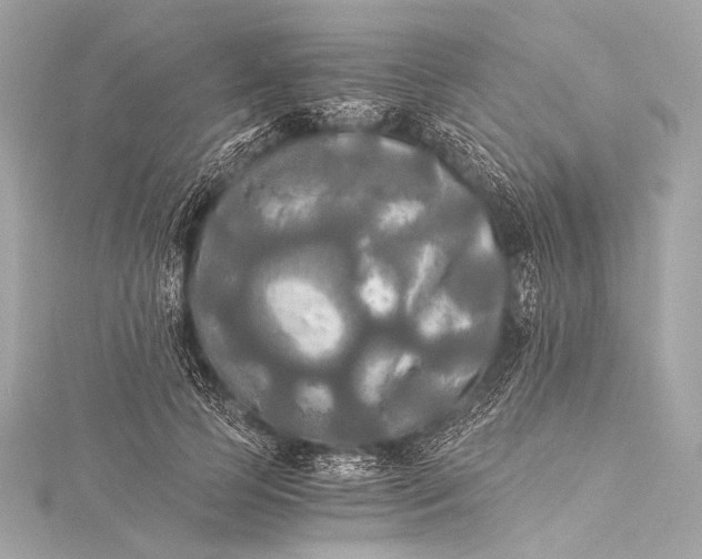 X0000116020745200912041750