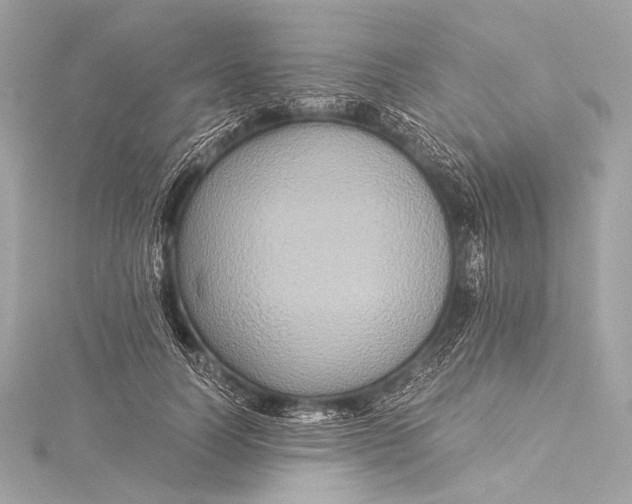 X0000116020746200912041750