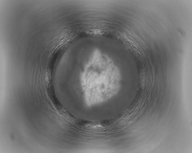 X0000116020747200912041750