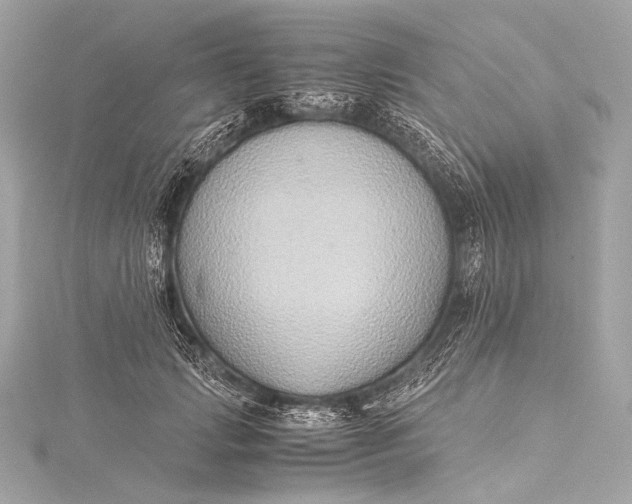 X0000116020749200912041750