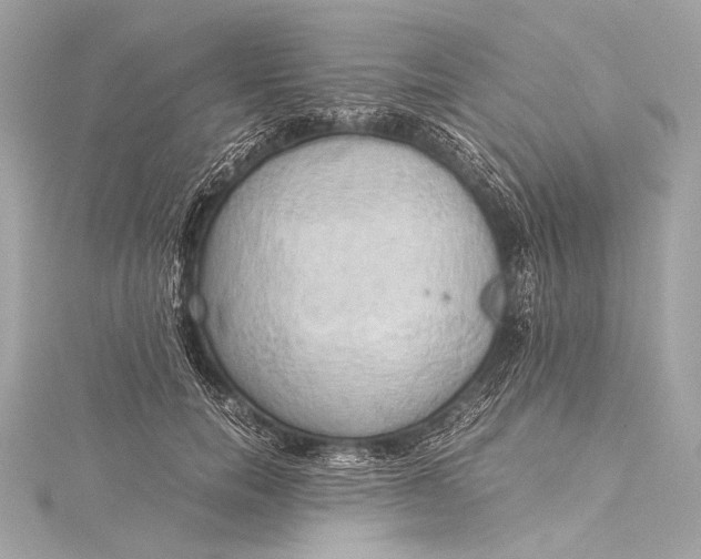 X0000116020750200912041750