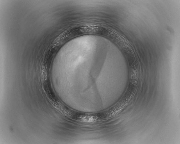 X0000116020751200912041750