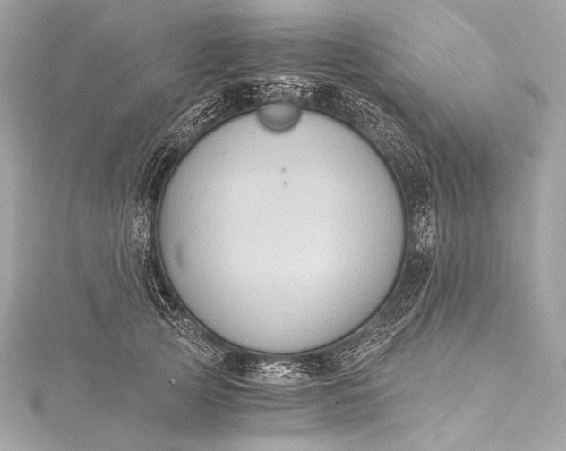 X0000116020753200912041750