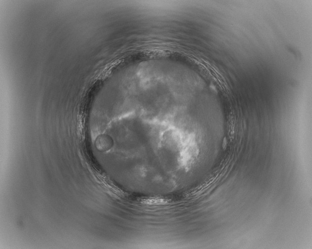 X0000116020759200912041750