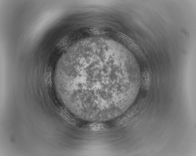 X0000116020762200912041750