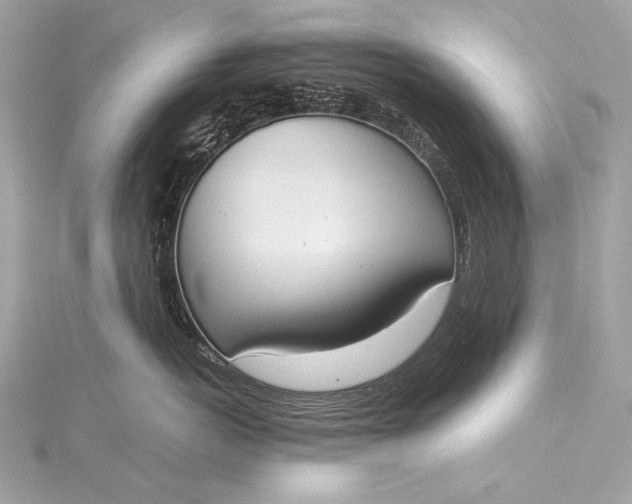 X0000116020766200912041750