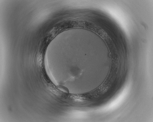 X0000116020767200912041750