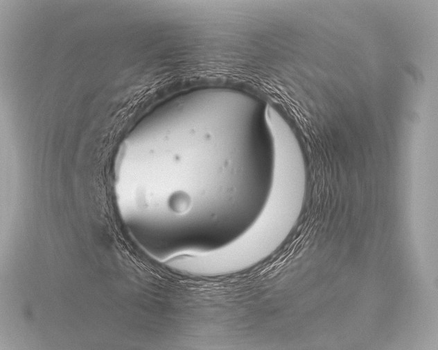 X0000116020769200912041749