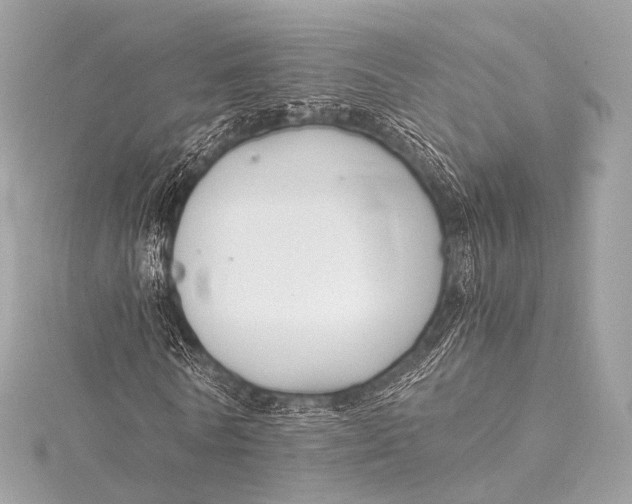 X0000116020770200912041749