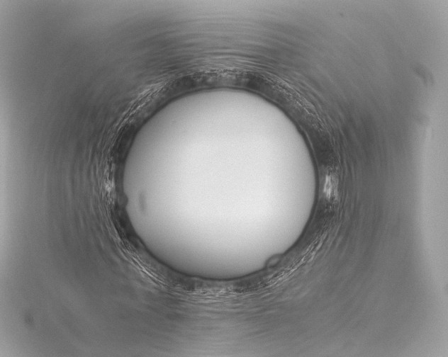 X0000116020771200912041749