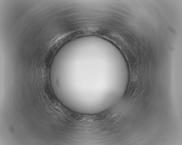 X0000116020773200912041749