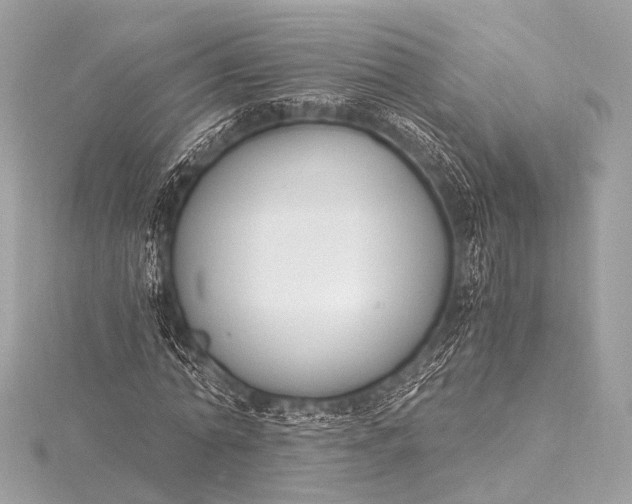 X0000116020774200912041749