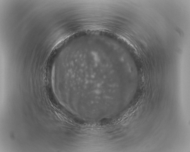 X0000116020775200912041749