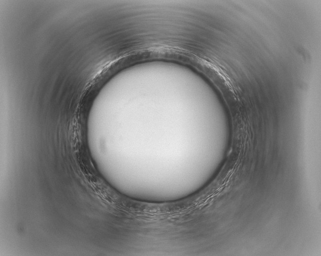 X0000116020776200912041749