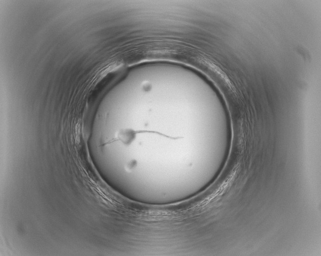 X0000116020777200912041749