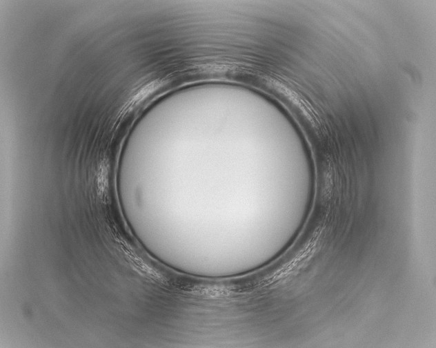 X0000116020778200912041749