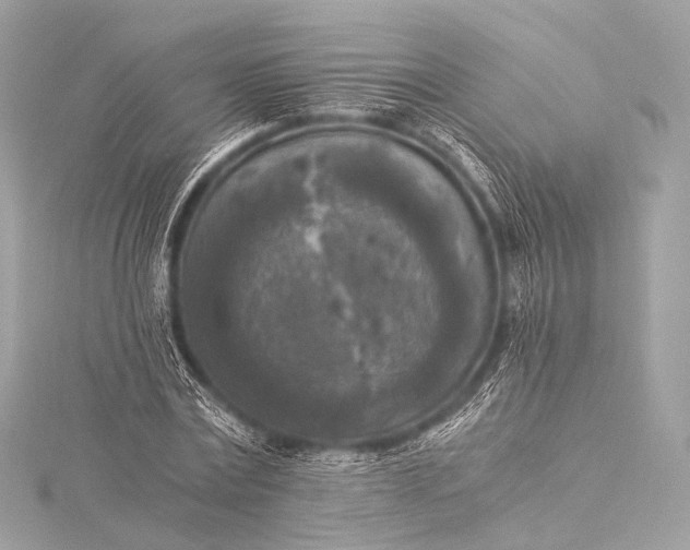 X0000116020779200912041749