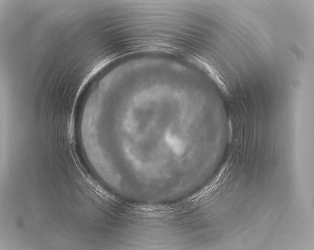 X0000116020780200912041749