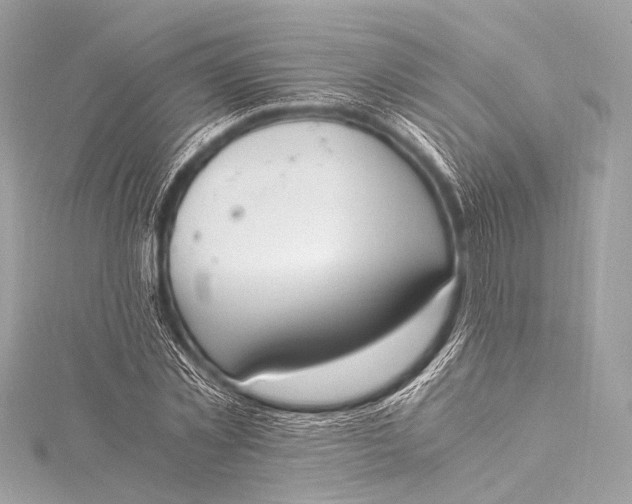 X0000116020781200912041749