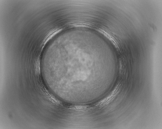 X0000116020782200912041749