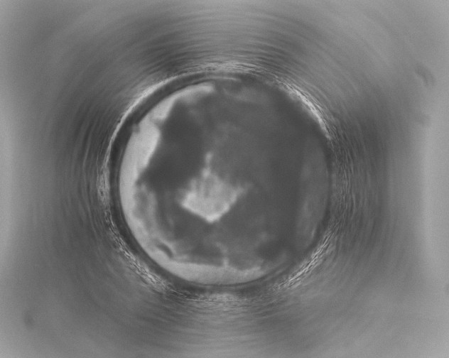 X0000116020784200912041749