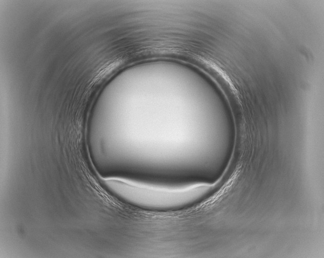 X0000116020785200912041749