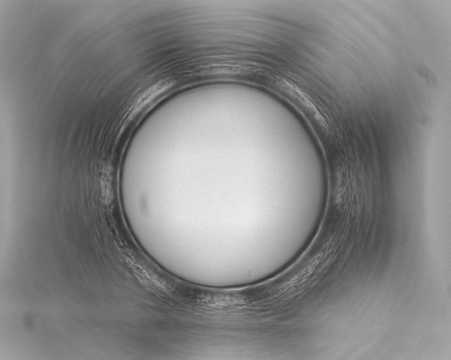 X0000116020786200912041749