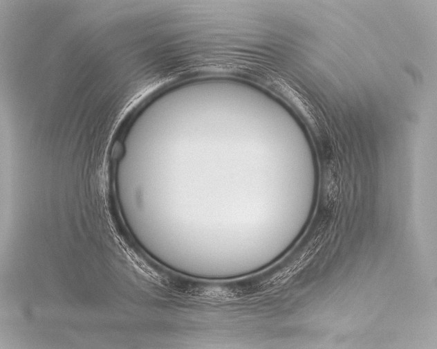 X0000116020787200912041749