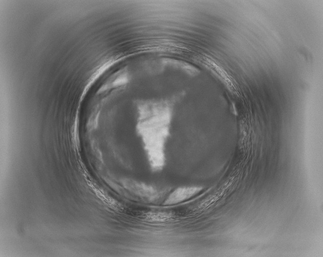 X0000116020788200912041749