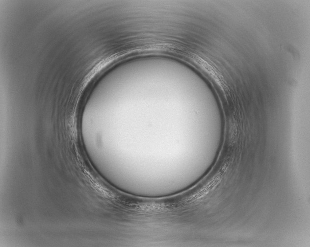 X0000116020789200912041749