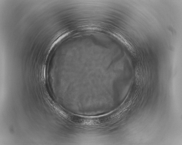 X0000116020790200912041749