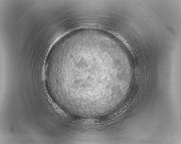 X0000116020791200912041749