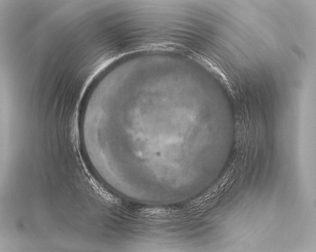 X0000116020792200912041749