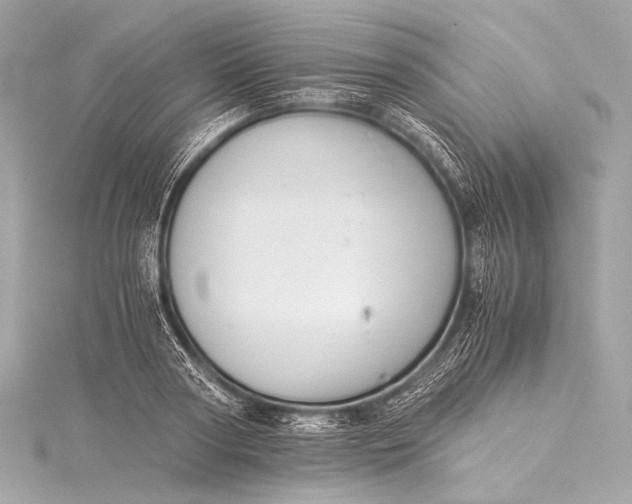 X0000116020794200912041749